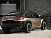 ac-schnitzer-bmw-x6-falcon_2.jpg