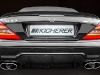 kicherer_2_500.jpg