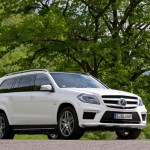 GL 63 AMG (8)