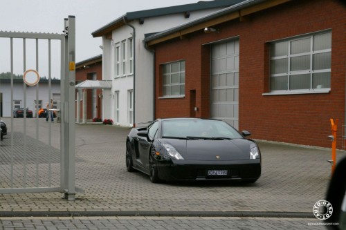 gallardo (3)