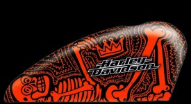 Harley Davidson Art of Custom 2012. Vince il belga Gert Vanzier