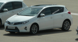 auris1