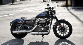 Harley-Davidson Iron 833 Special Edition: omaggio all'Italia