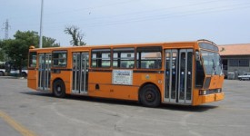 autobus241