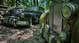 Le auto d'epoca in mostra in un bosco (fotogallery)