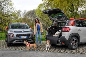 Pet à porter, il nuovo kit completo di Citroen per chi viaggia con i cani