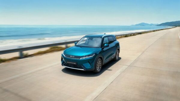 decreto BYD